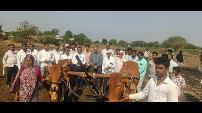 Woman takes dead bull’s place to plough field in Latur village; CM intervenes & ensures relief after opposition outcry | Chhatrapati Sambhajinagar News