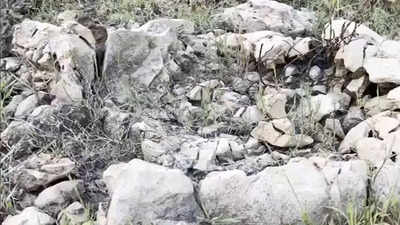 Miocene Epoch Fossils: 15-million-years old shark fossils discovered by Odisha teacher and students on a random field visit, locals called them ‘Asura Hadda’