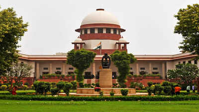Psych evaluation of parents a must in child custody disputes, rules SC | India News