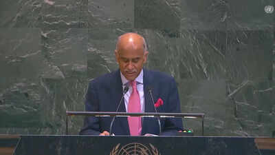 ‘J&K Integral to India’: India Slams Pakistan at UN | India News