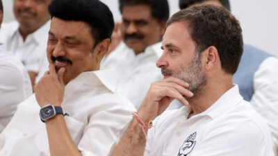 Tamil Nadu polls fallout: DMK to boycott INDIA bloc meet on June 8 | India News