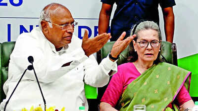 INDIA allies question Congress over betraying DMK, criticising CPM | India News