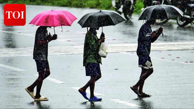 Southwest monsoon arrives in Kerala; IMD warns of below-normal rainfall this season | Delhi News