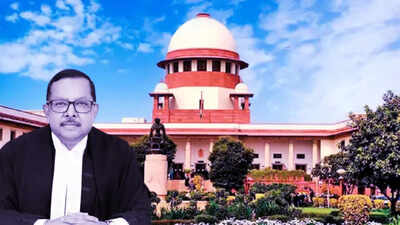 Supreme Court Of India: ‘No law prohibits eating chicken over Ganga river’: Supreme Court judge flags delayed bail | India News