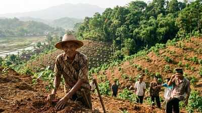 In 1996, Indonesia’s ‘crazy’ tree planter who was mocked for his mission planted 11,000 trees and turned barren hills into a green paradise | World News