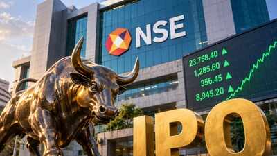 NSE IPO opens for subscription: From GMP to market cap & global comparison – top 10 things to know