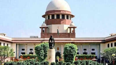 ‘Medical fraternity cannot be touched’: SC cancels Shiv Sena corporator Ramesh Mhatre’s bail in doctor assault case | India News