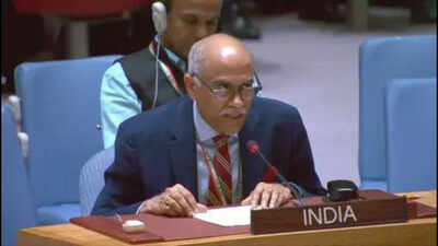 ‘9/11 architects were not hiding in caves’: India hits out at Pakistan at UN over terror safe havens | India News