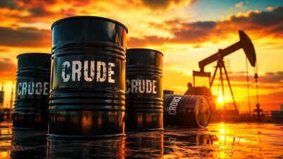 ‘Operation Economic Outcast’: US sanctions two Mumbai firms, five Indians over alleged Iran oil trade
