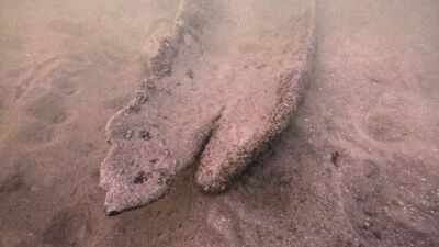 Wisconsin diver Mark Schachtner was searching Pewaukee Lake for old bottles when he spotted a 17-foot canoe 15 feet underwater; radiocarbon dating has now confirmed it is about 1,000 years old